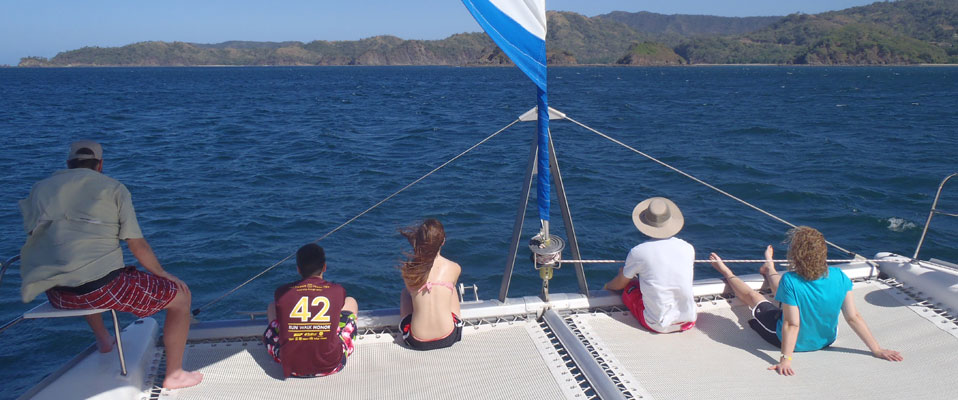 Sailing Flamingo
